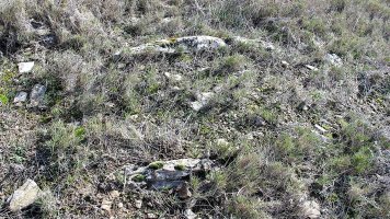 Las Cabras 2 zista, Larraga