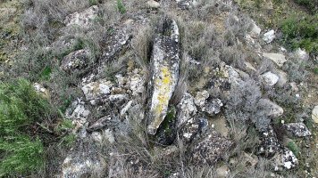 Las Cabras 4 zista, Larraga