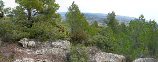 Tako geografikoa gailurrean