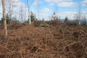 Túmulo Pagotxueta 2  (Febrero  2018)