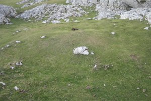 Fondo de Cabaña Urbia Este 3   (Noviembre 2017)