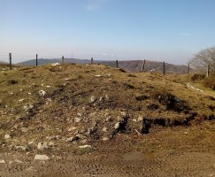 Alabitarte tumuloa 2