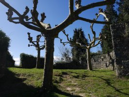 Santa Barbarako gotorlekua, bateria baten lekua