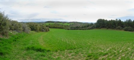 Soroak mugatik hurbil