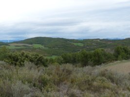 Artaxoako Mugako gaina