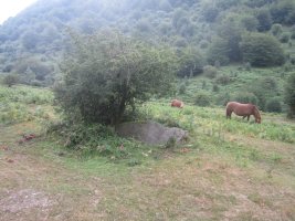 Monolito Naparbidea  (08-2013)