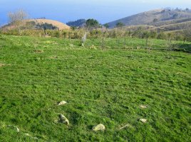 Cromlech Aitzazate 2 (Foto L.Millán)