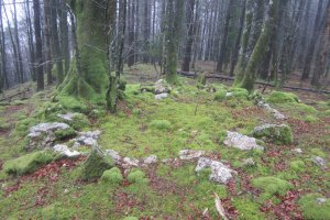Cromlech Uzku  (Marzo 2018)