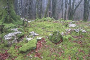 Cromlech Uzku  (Marzo 2018)