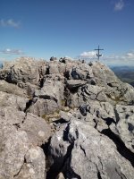 Erlo tontorra (1030m)