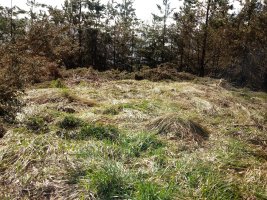 Marikutx I tumuloa 3