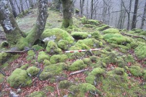 Dólmen Uzkuarrieta con musgo (27-03 2018) 