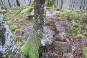 Dólmen Uzkuarrieta  (27-03 2018)