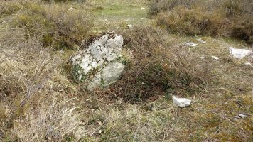 Lejazar Iparra trikuharria (2018)