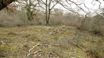 Las Esperas trikuharria (2018)