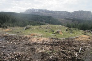 Dólmen Otsobaso  (Abril 2018)