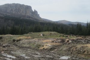 Dólmen Otsobaso  (Abril 2018)