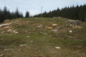 Dólmen Otsobaso  (Abril 2018)