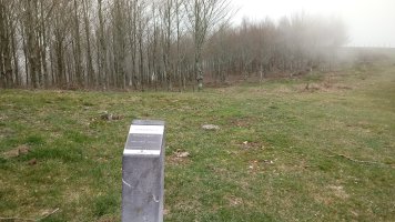 Probazelaiburu I trikuharria (2018)