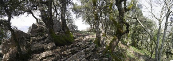 Tontorraren inguruak