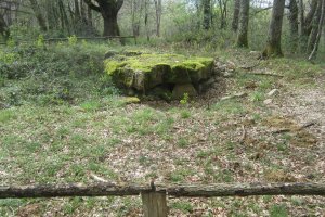 Dólmen Darre la Peyre  (Abril 2018)