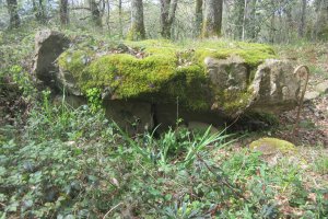 Dólmen Darre la Peyre  (Abril 2018)