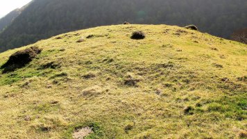 Artesiaga harrespila, Irurita-Baztan