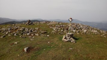 Oamendi Trikuharria 4