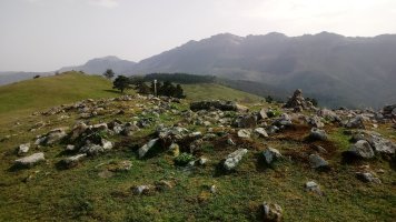 Oamendi Trikuharria 2