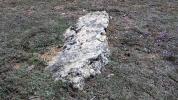 Camino de Mendibela zutarria, Biloria-Lana