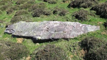 Gorospilgo Lepoa Zutarria, Berroeta-Baztan