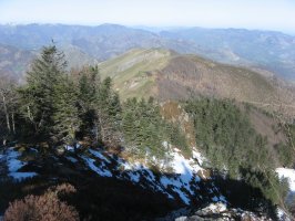 Arbutiko gandorra, tontorretik