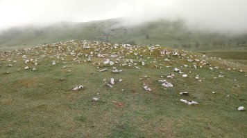 Pagobakoitza trikuharria 2