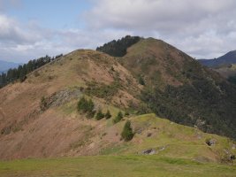 Kamaraka Goikoganetik ikusita