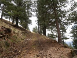 Ibilbideko pasarte bat