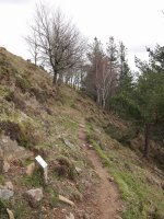 Mendi-bizkarrera iristen den bidezidorra