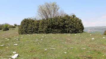 Garindo 2 eraztun tumulua, Urdotz-Goñi