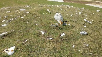 Sarasako Gañe trikuharria 2