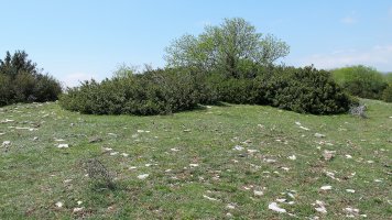 Garindo 1 eraztun tumulua, Aizpun-Goñi