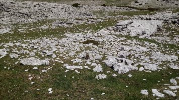 Aitzuri trikuharria 2