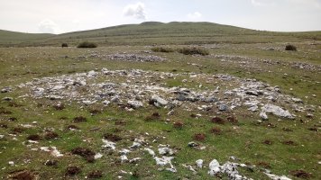 Peñablanca trikuharria 2