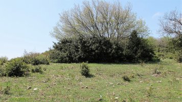 Ornaitz eraztun tumulua, Aizpun-Goñi