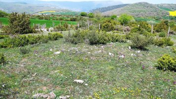 Magdalena tumulua, Aizpun-Goli