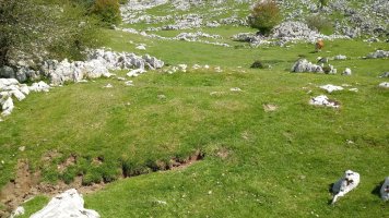 Kalparmunobarrena I tumuloa 2