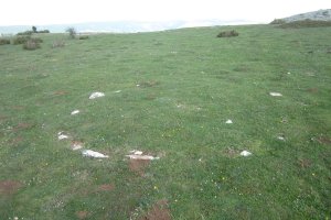 Cromlech Malkaxko  (Mayo 2018)