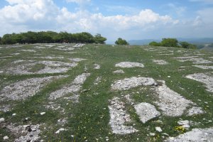 Túmulo Anular Zaurogi  (Mayo 2018)