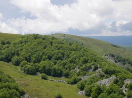 Altipitatxetik ikusita