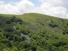 Altipitatxetik ikusita