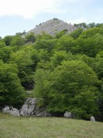 Altipitatx Itxingotitik ikusita