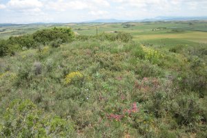 Túmulo Kortabairrieta  (Junio  2018)